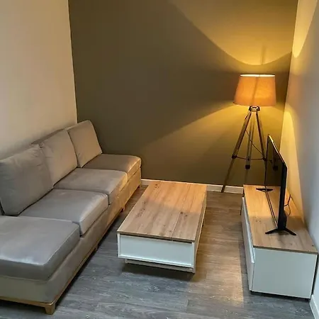 Authentique Et Calme Hypercentre Wifi Netflix Saint-Etienne (Loire)